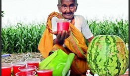 校园网红吃瓜,揭秘校园热点背后的真相